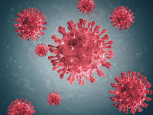 【甲型流感】幾耐好？ 認識病徵、潛伏期及死亡率！