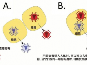 【流感病毒】一文學懂如何分辨4類流感病毒