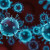 副流感病毒是流感病毒吗